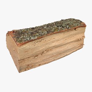 3D Log 01 model