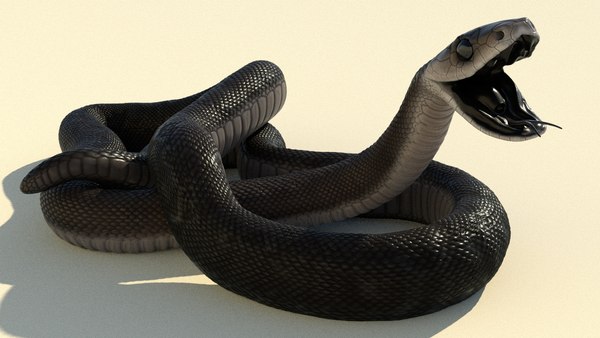 3D Black Mamba Rigged Animated - TurboSquid 1724803