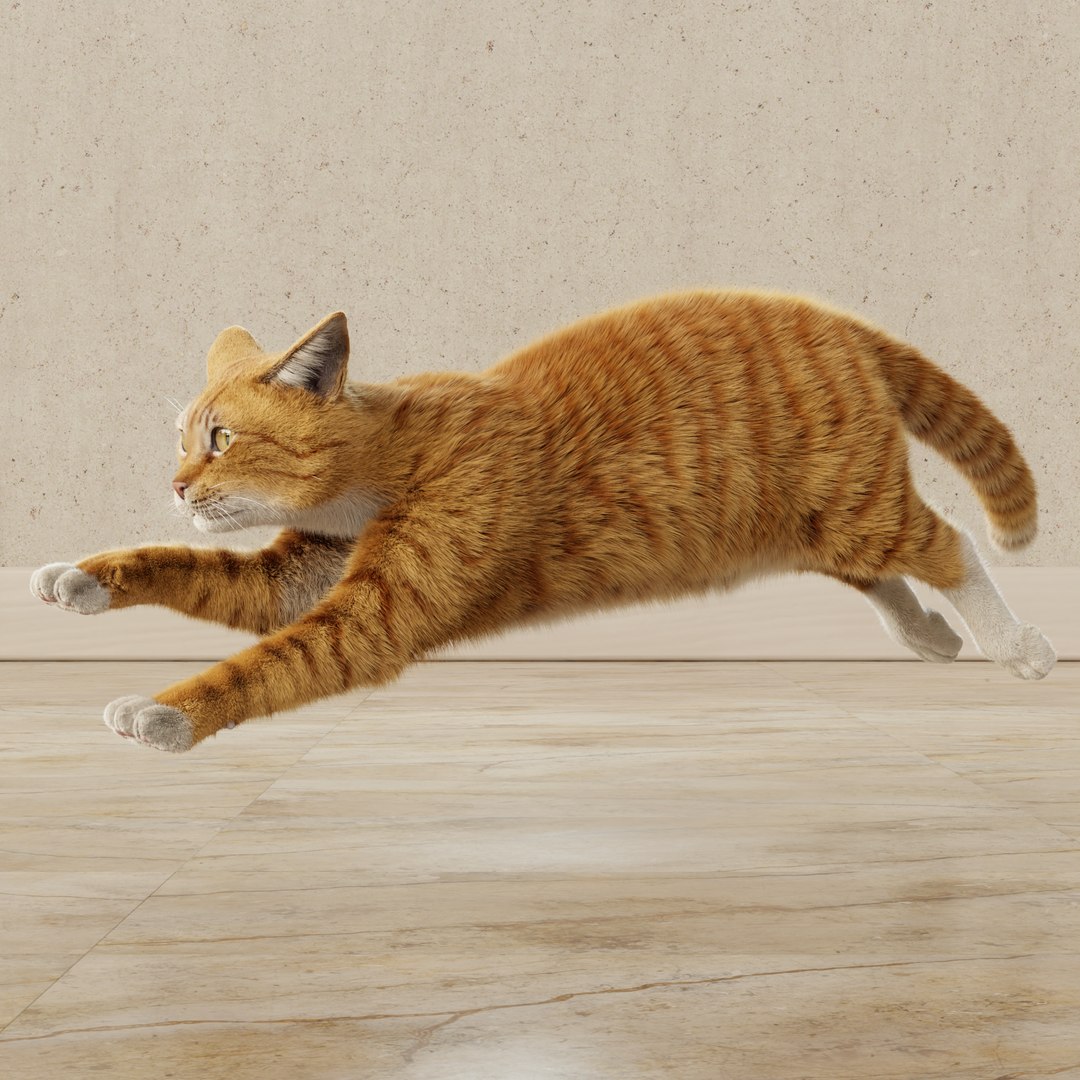 Cat Rigged Animated Collection 3D model - TurboSquid 2114479
