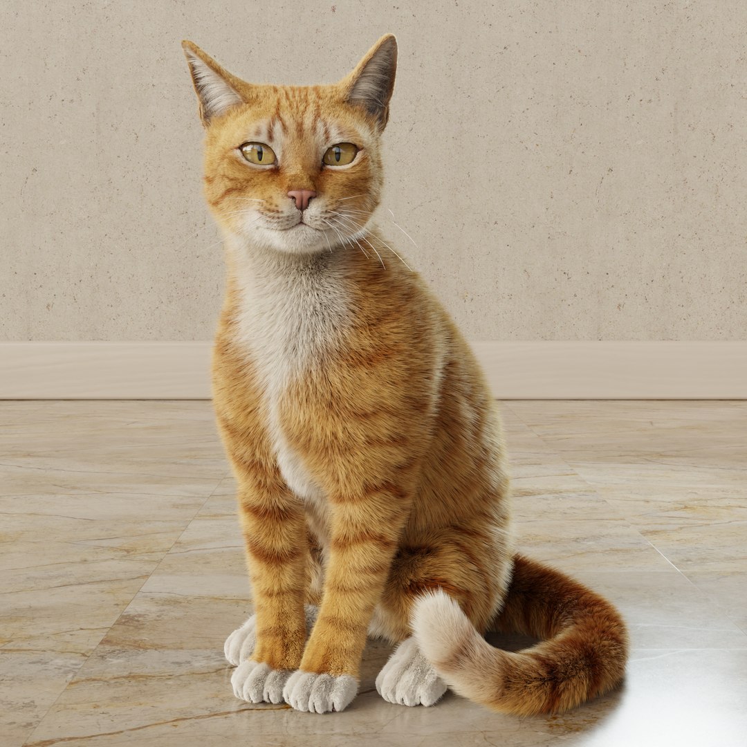 Cat Rigged Animated Collection 3D model - TurboSquid 2114479