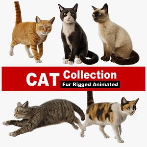 Cat Rigged Animated Collection