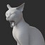 Cat Rigged Animated Collection 3D model