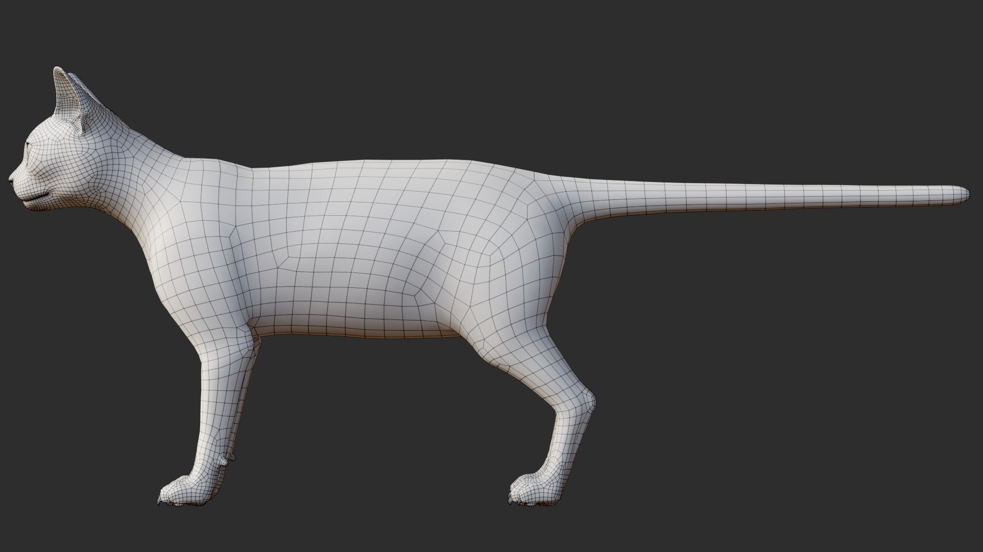 Cat Rigged Animated Collection 3D model - TurboSquid 2114479
