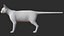 Cat Rigged Animated Collection 3D model