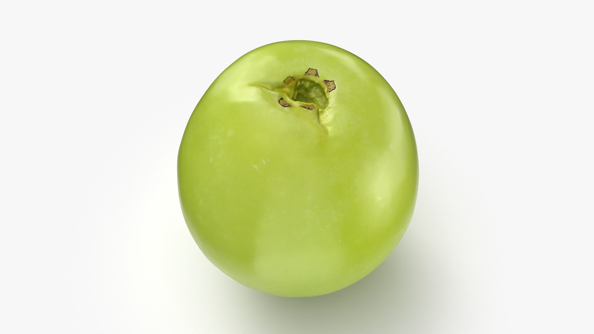 3D Green Grape 01 - 3D Scanned model https://p.turbosquid.com/ts-thumb/Ck/HEB7tj/7D/grapegreen01_0003/png/1781769464/1920x1080/fit_q87/9ffab8a6463e4803c957afb0e306cb9296d87e90/grapegreen01_0003.jpg