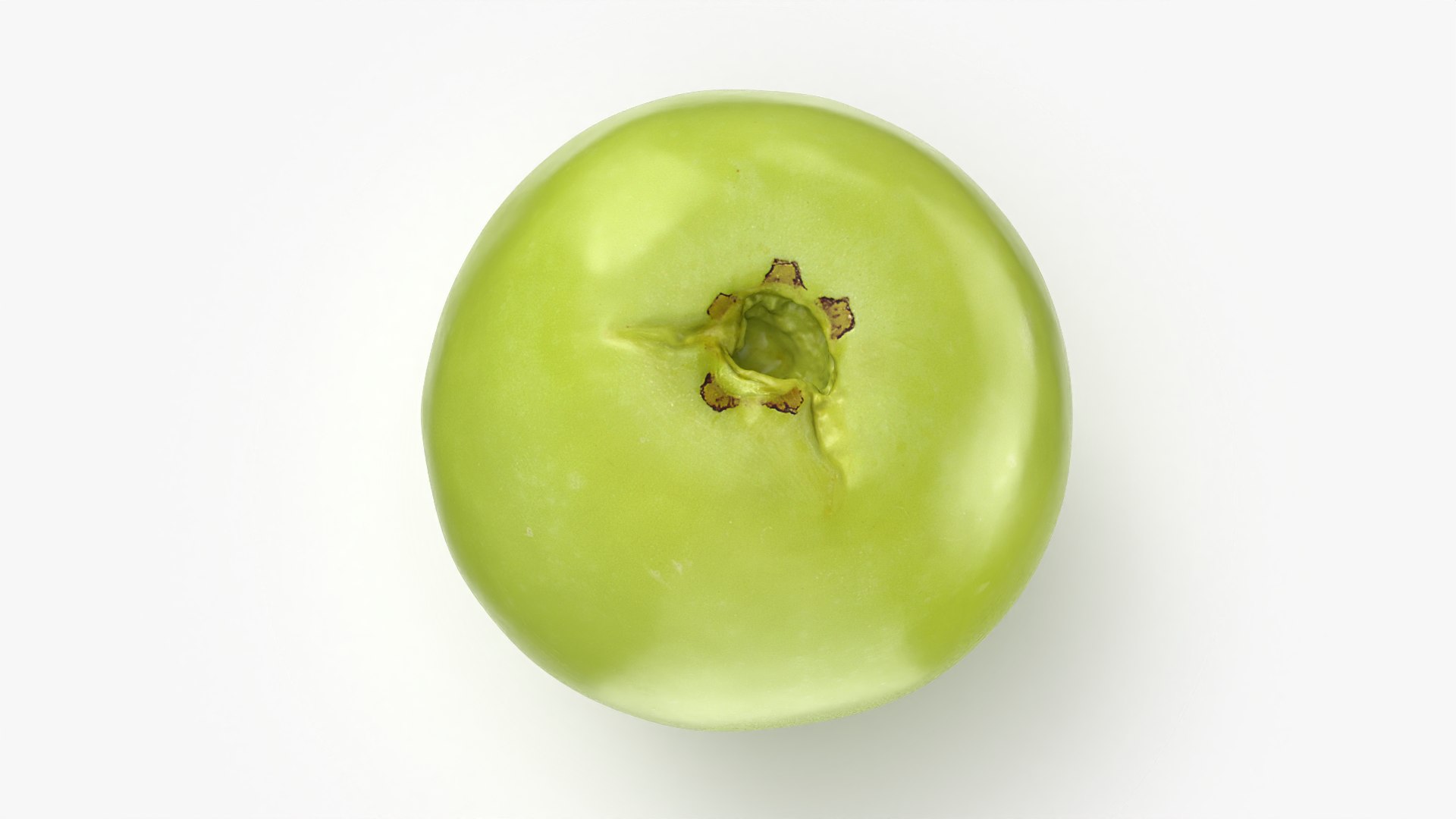 3D Green Grape 01 - 3D Scanned model https://p.turbosquid.com/ts-thumb/Ck/HEB7tj/9M/grapegreen01_0005/png/1781769477/1920x1080/fit_q87/372656b1e7ad52b01d03e723b079825e20dfaaab/grapegreen01_0005.jpg