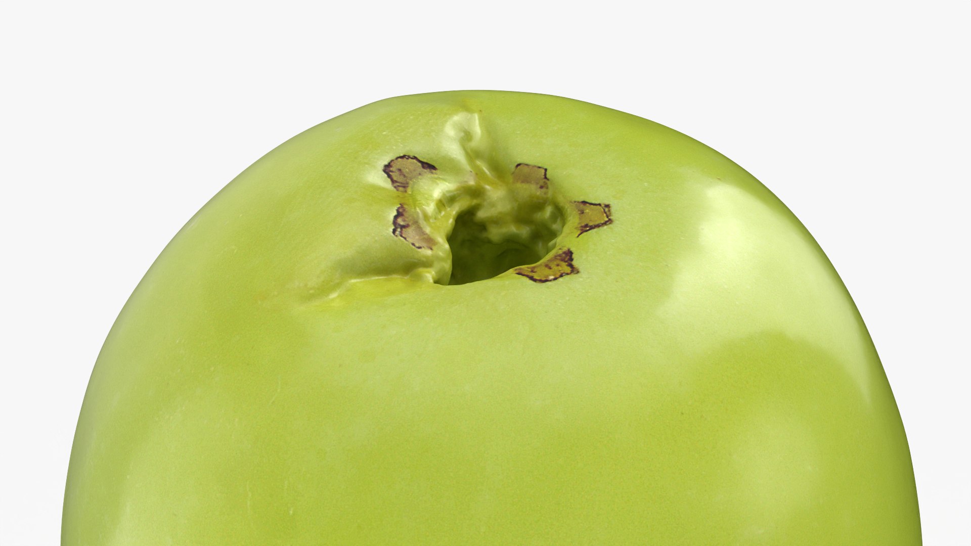 3D Green Grape 01 - 3D Scanned model https://p.turbosquid.com/ts-thumb/Ck/HEB7tj/nJ/grapegreen01_0008/png/1781769481/1920x1080/fit_q87/8e483bb18a604c165f5548b5dd7ed3ed0362eee9/grapegreen01_0008.jpg