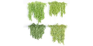 3D Hanging wall plants collection vol 79-Blender