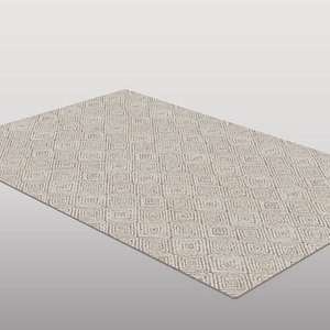 Contemporary Beige Rug