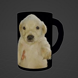 3D Taza Joshua model
