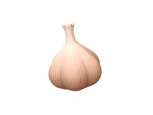 3D garlic food vegetable
