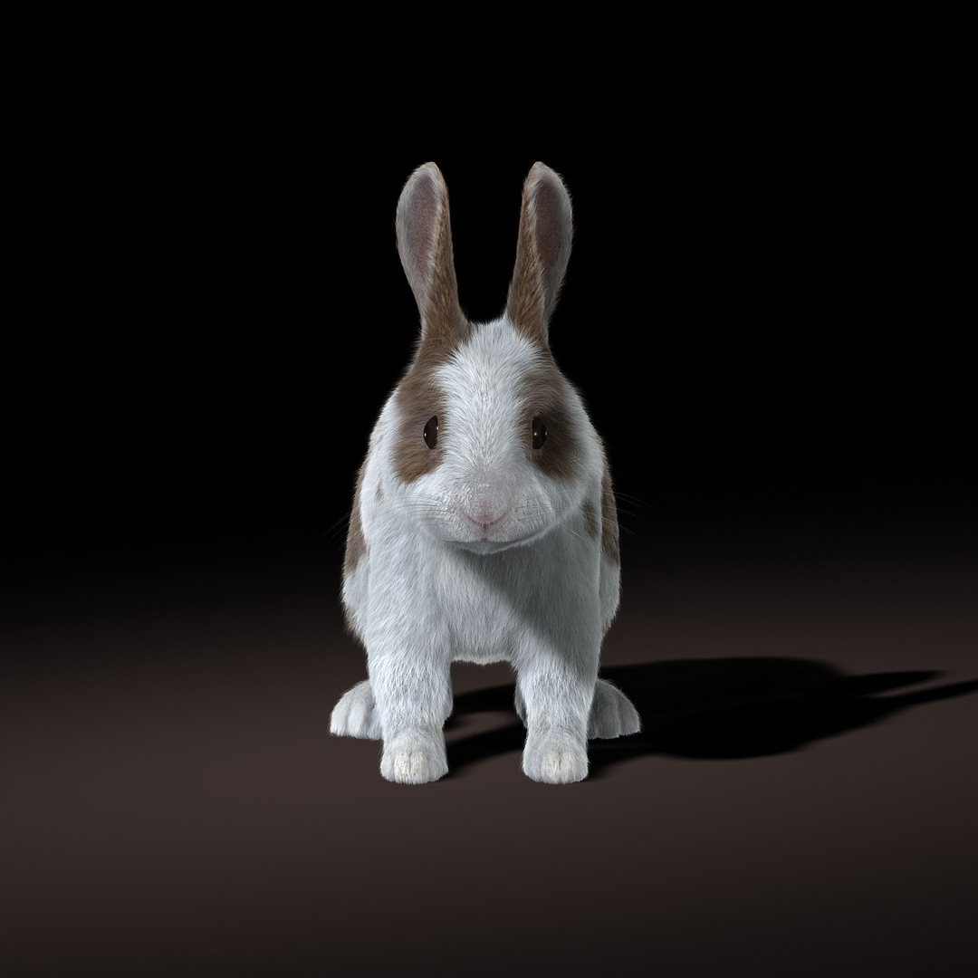 rabbit spotted fur 3d obj