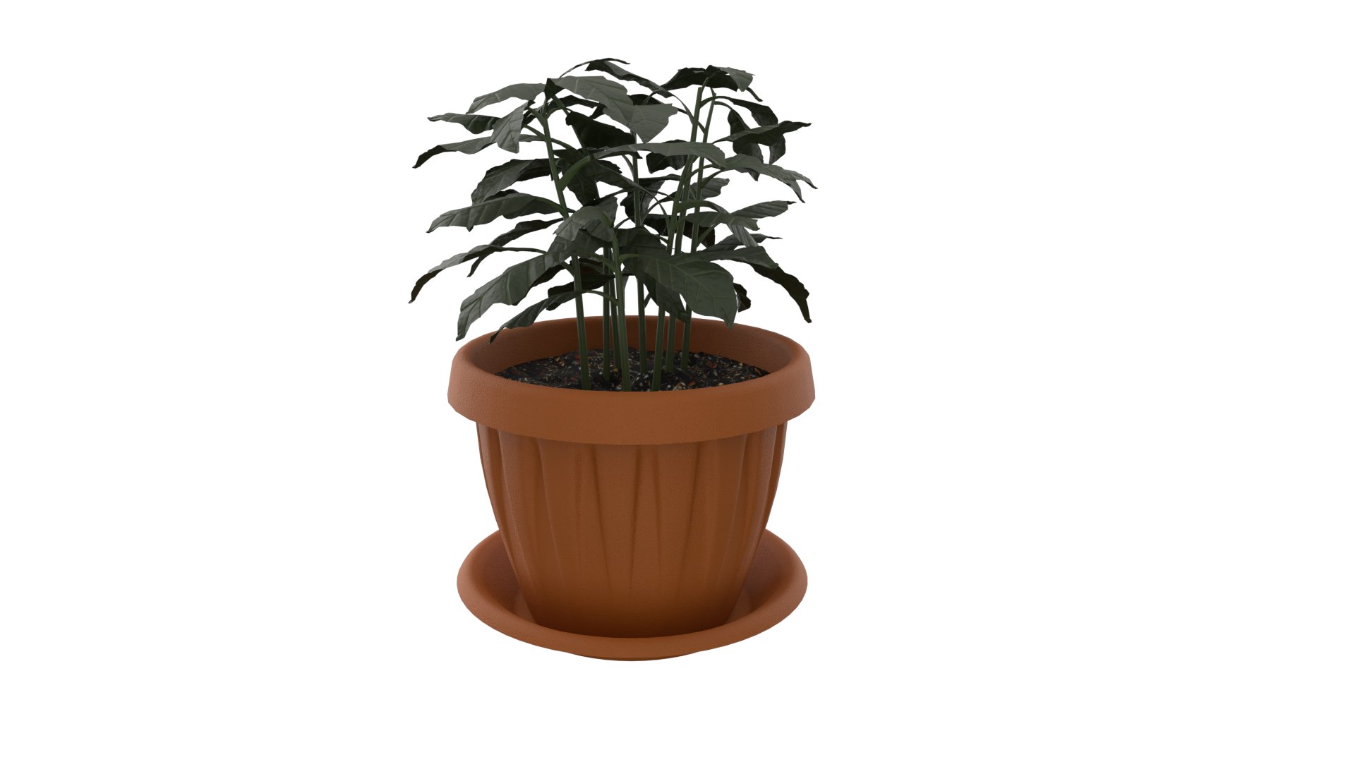 Coffee tree PBR model 3D - TurboSquid 1785205