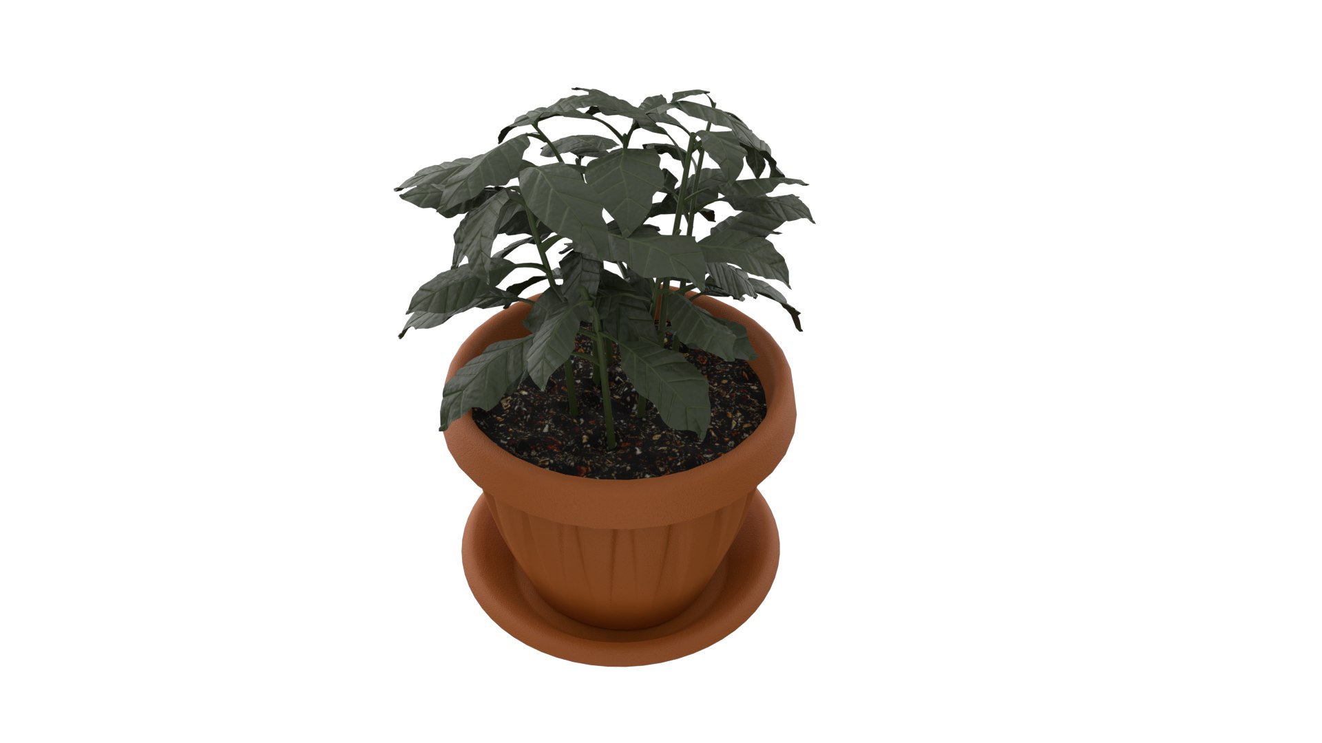 Coffee tree PBR model 3D - TurboSquid 1785205
