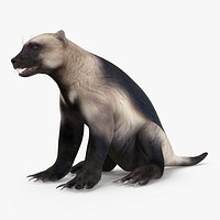 Wolverine Light Color Sitting Pose