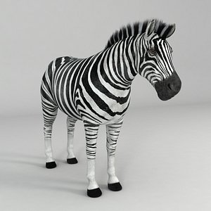realistical zebra horse 3d max