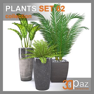 3D cycas plant pot