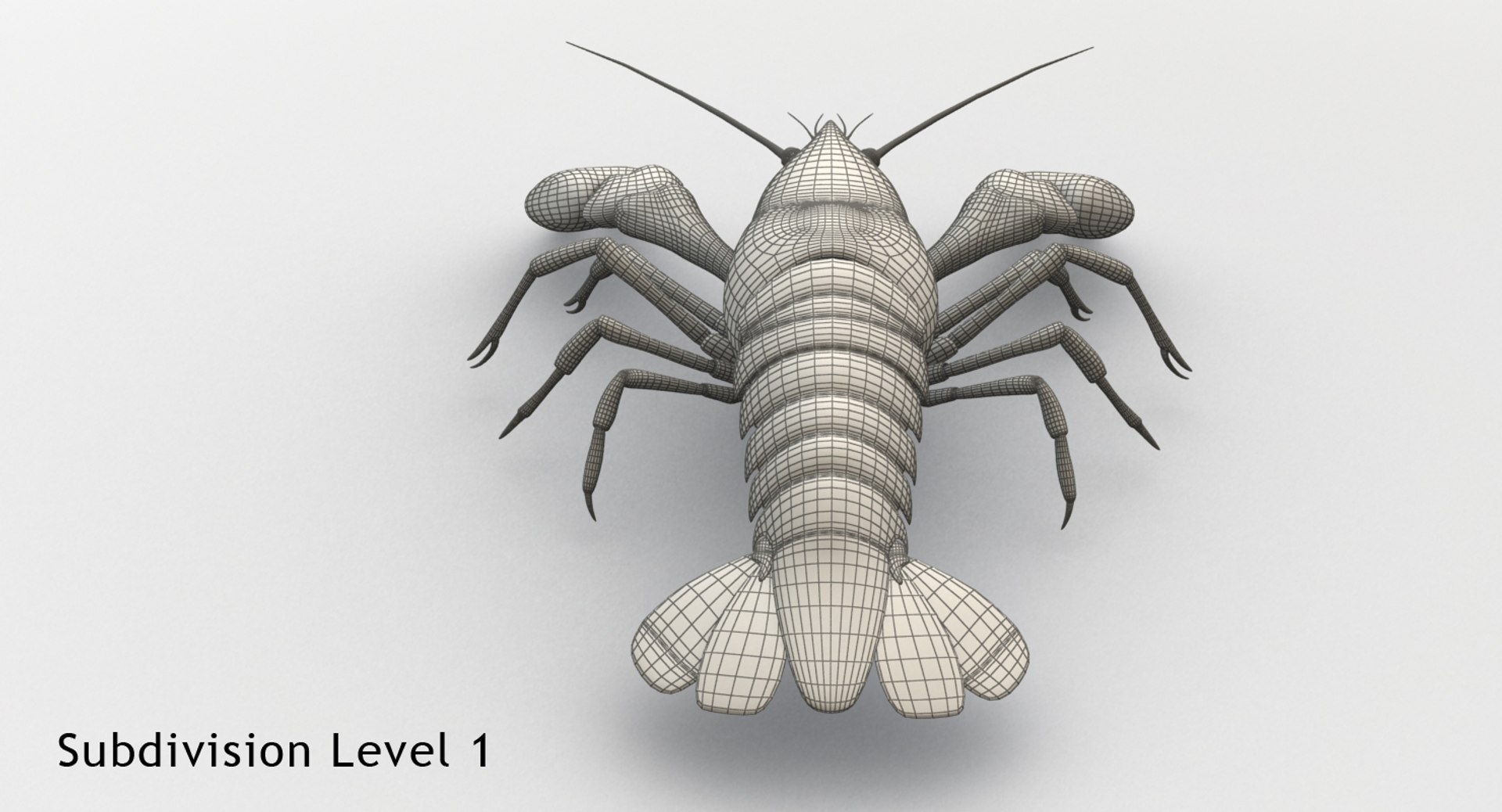 3d model crayfish animation https://p.turbosquid.com/ts-thumb/Cl/8dtrjQ/731e3zz8/c6/jpg/1477297820/1920x1080/fit_q87/f567e7249096237349e428ac1866ee356496bc33/c6.jpg