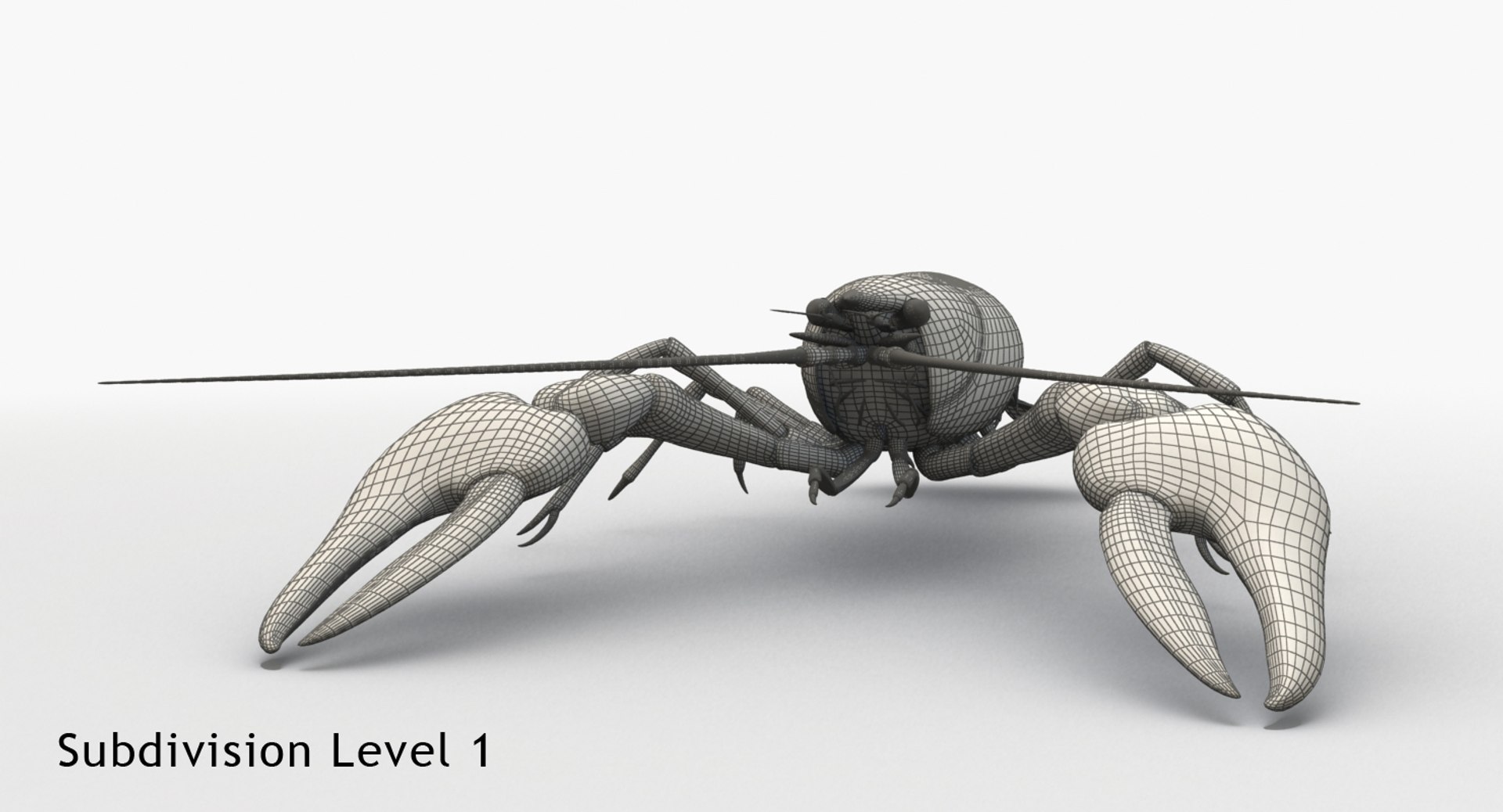 3d model crayfish animation https://p.turbosquid.com/ts-thumb/Cl/8dtrjQ/SUIxXB7I/c11/jpg/1477297820/1920x1080/fit_q87/77b12f20a6df501feaf60fb1ff86be387fb62f2e/c11.jpg