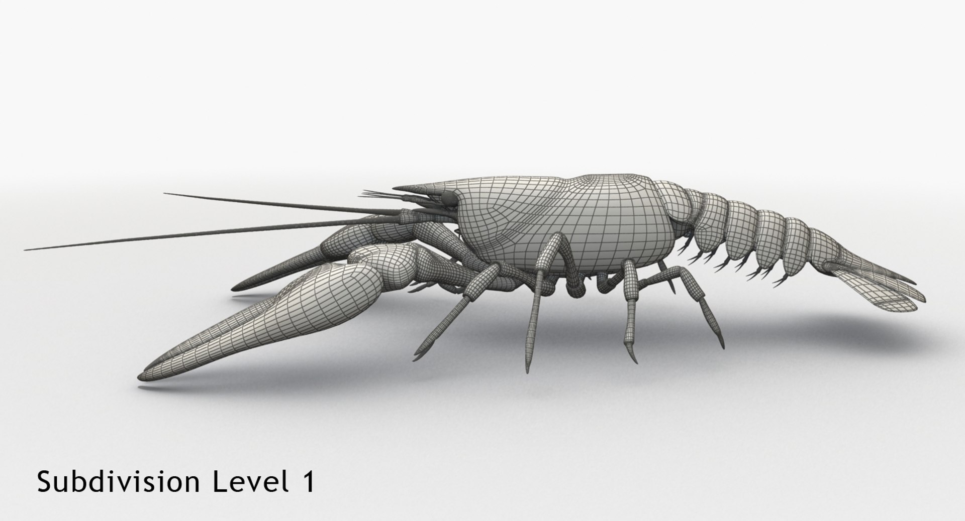 3d model crayfish animation https://p.turbosquid.com/ts-thumb/Cl/8dtrjQ/fFGhs3d8/c10/jpg/1477297820/1920x1080/fit_q87/1364f0b5f9b230d0ef19338b8b4dcde0308fbcf5/c10.jpg