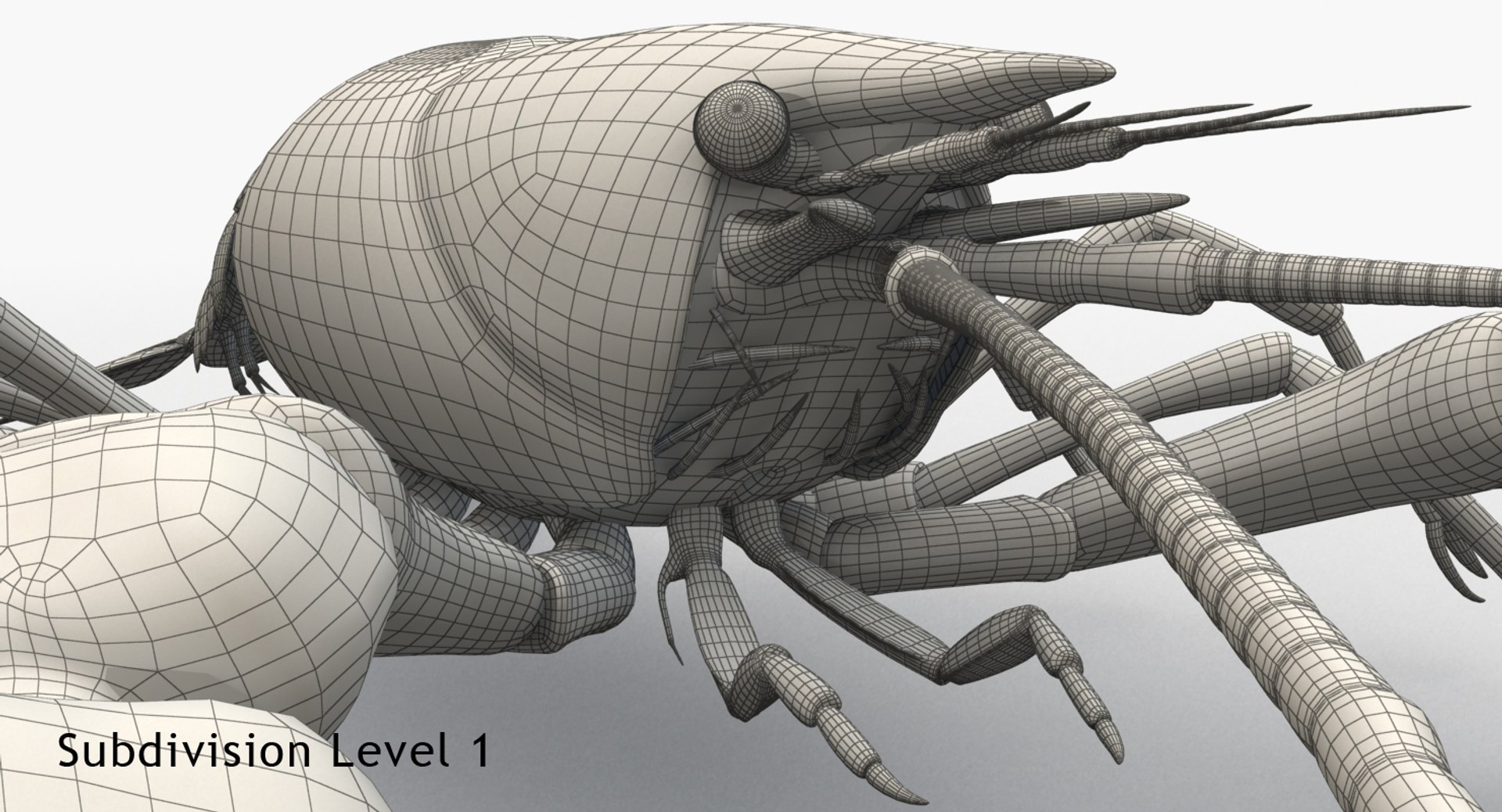 3d model crayfish animation https://p.turbosquid.com/ts-thumb/Cl/8dtrjQ/lzauVJo9/c13/jpg/1477297820/1920x1080/fit_q87/492b0df7e628c9a7c3bc48b5bc7069813054a60b/c13.jpg