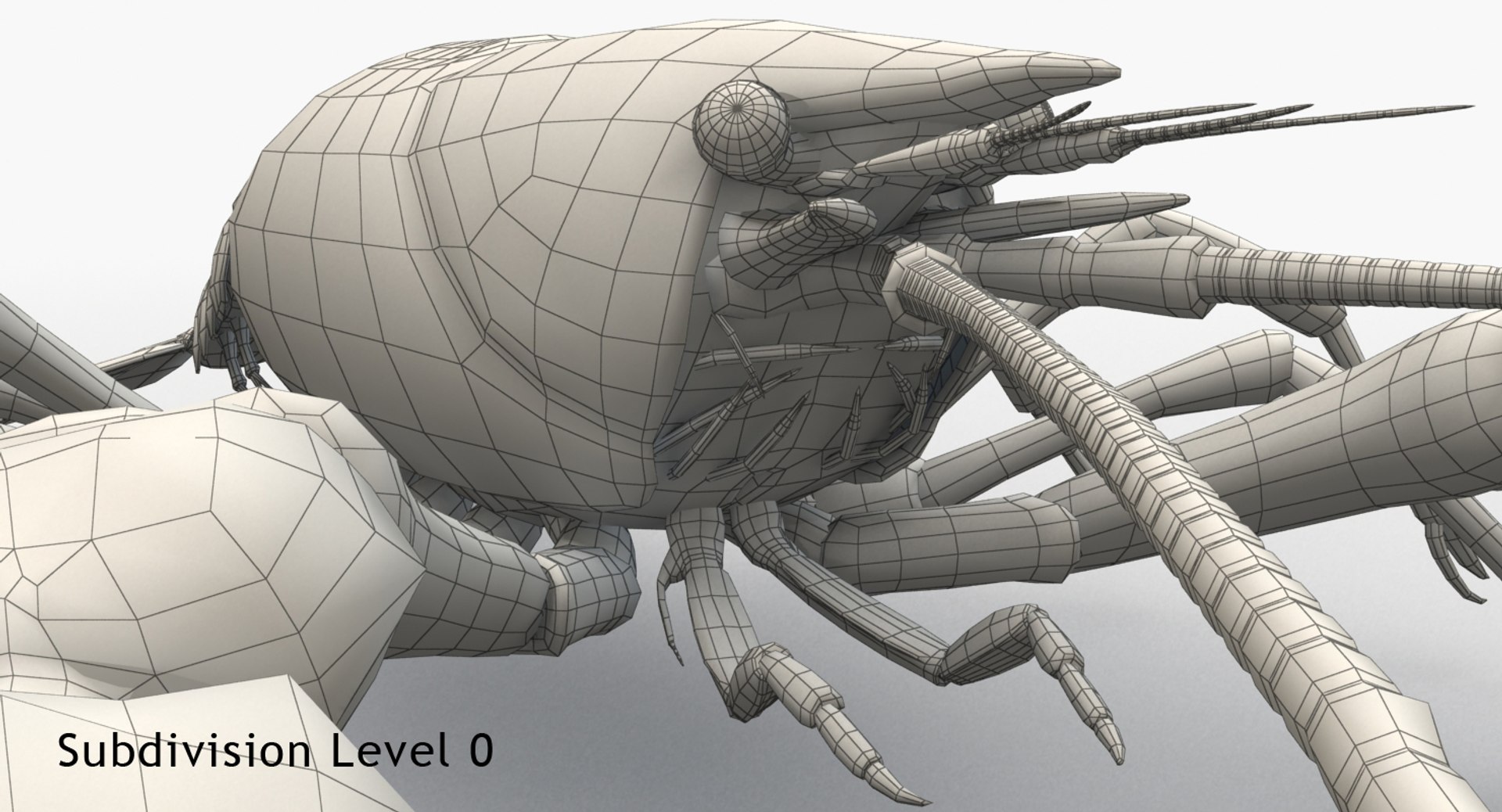 3d model crayfish animation https://p.turbosquid.com/ts-thumb/Cl/8dtrjQ/mpGG68SQ/c14/jpg/1477297820/1920x1080/fit_q87/2724af3dabc146c9e1bde021344d37cd295265a2/c14.jpg