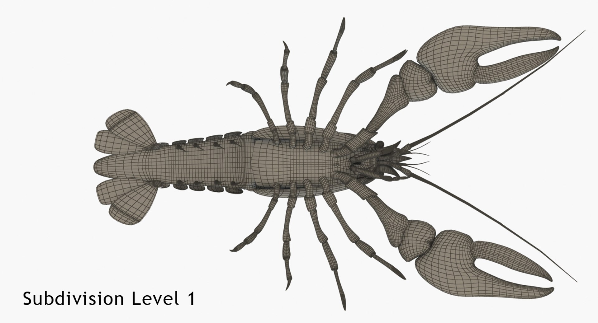 3d model crayfish animation https://p.turbosquid.com/ts-thumb/Cl/8dtrjQ/xLKsuXz9/c2/jpg/1477297820/1920x1080/fit_q87/2af0eb2bda73300fcf56ac4e142e68b0ed0cfe8c/c2.jpg
