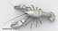 Crayfish (Animated)