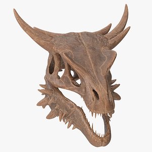 3D Petrified Dragon Skull