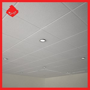 Suspended Ceiling & Lights
