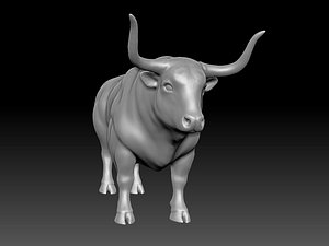 bull detailing animation 3D model