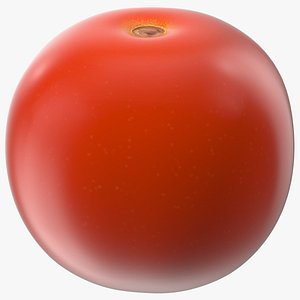 3D Fresh Red Cherry Tomato model