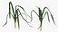 Salad Greens Collection 3 3D model