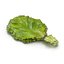 Salad Greens Collection 3 3D model