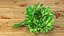Salad Greens Collection 3 3D model
