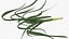Salad Greens Collection 3 3D model