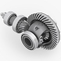 differential with bearing and bevel gears