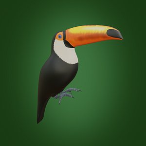 Toucan