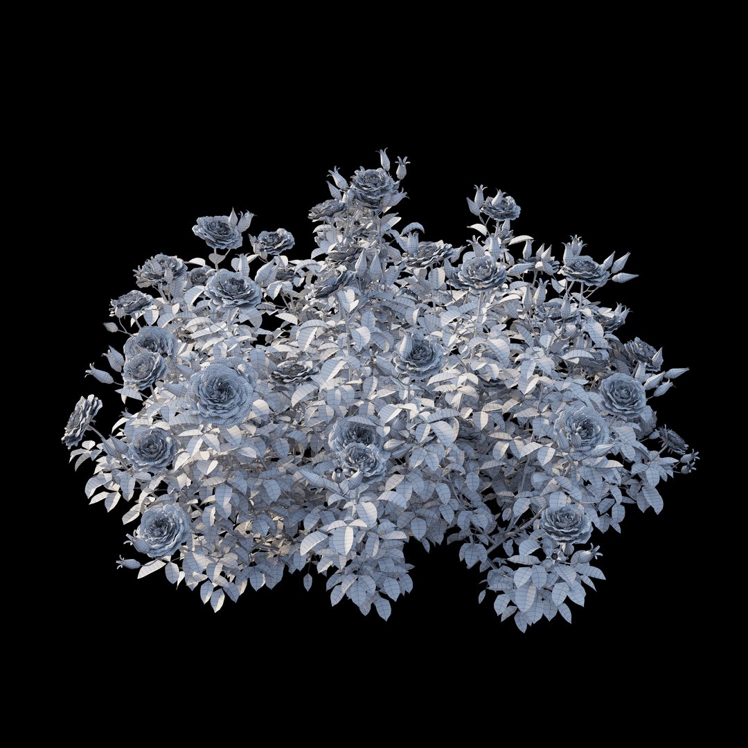 rose plant set 25 3D model https://p.turbosquid.com/ts-thumb/Cl/eI9SnF/m1J3Fka6/view05/jpg/1597210773/1920x1080/fit_q87/3b357163f01b7174979a835ac2ae3590d64e874d/view05.jpg