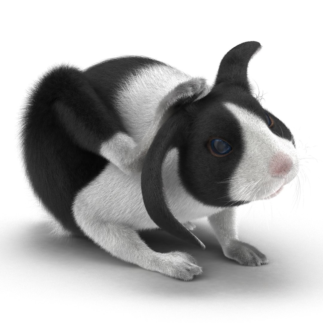 3d model black rabbit pose 4