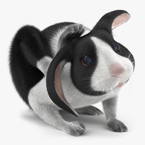 3d model black rabbit pose 4