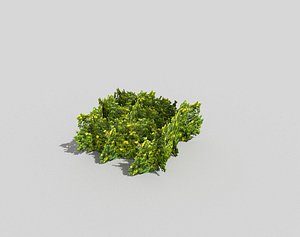 3d model of bush