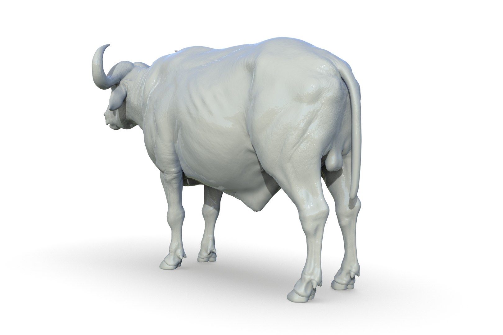 3D Buffalo - TurboSquid 2205894