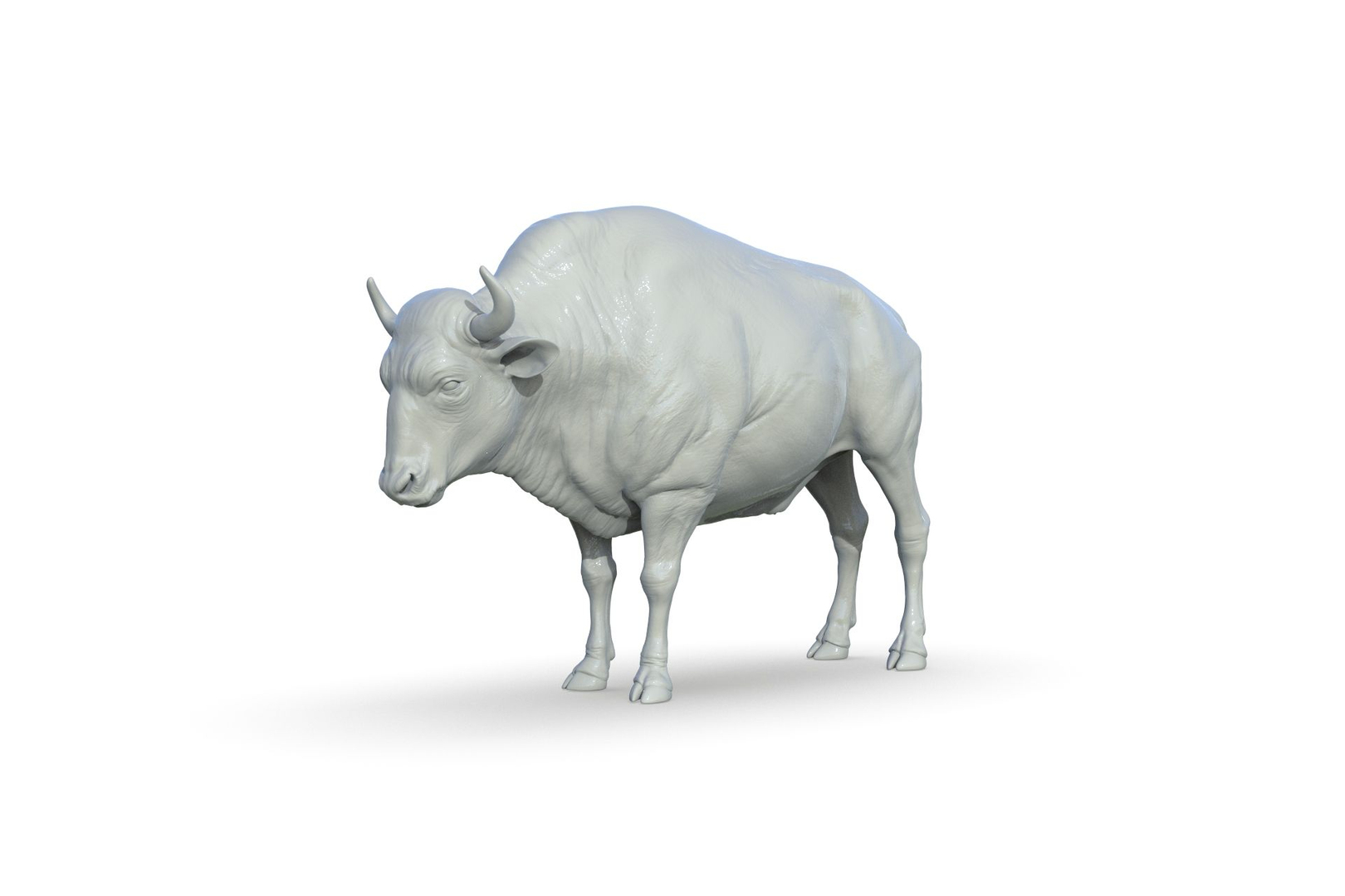 3D Buffalo - TurboSquid 2205894