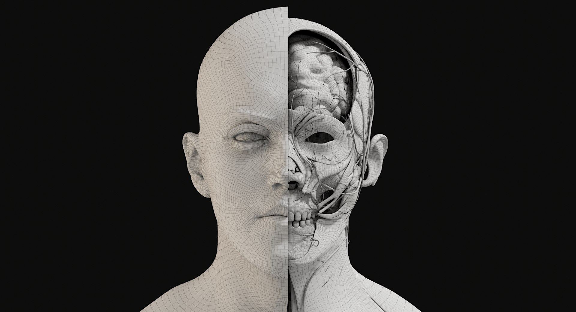 3D Female and Male Complete Anatomy https://p.turbosquid.com/ts-thumb/Cm/Lxbojr/0d/wire12/jpg/1625139959/1920x1080/fit_q87/5b068d1608e922cc166956aa6c983696bfc04908/wire12.jpg