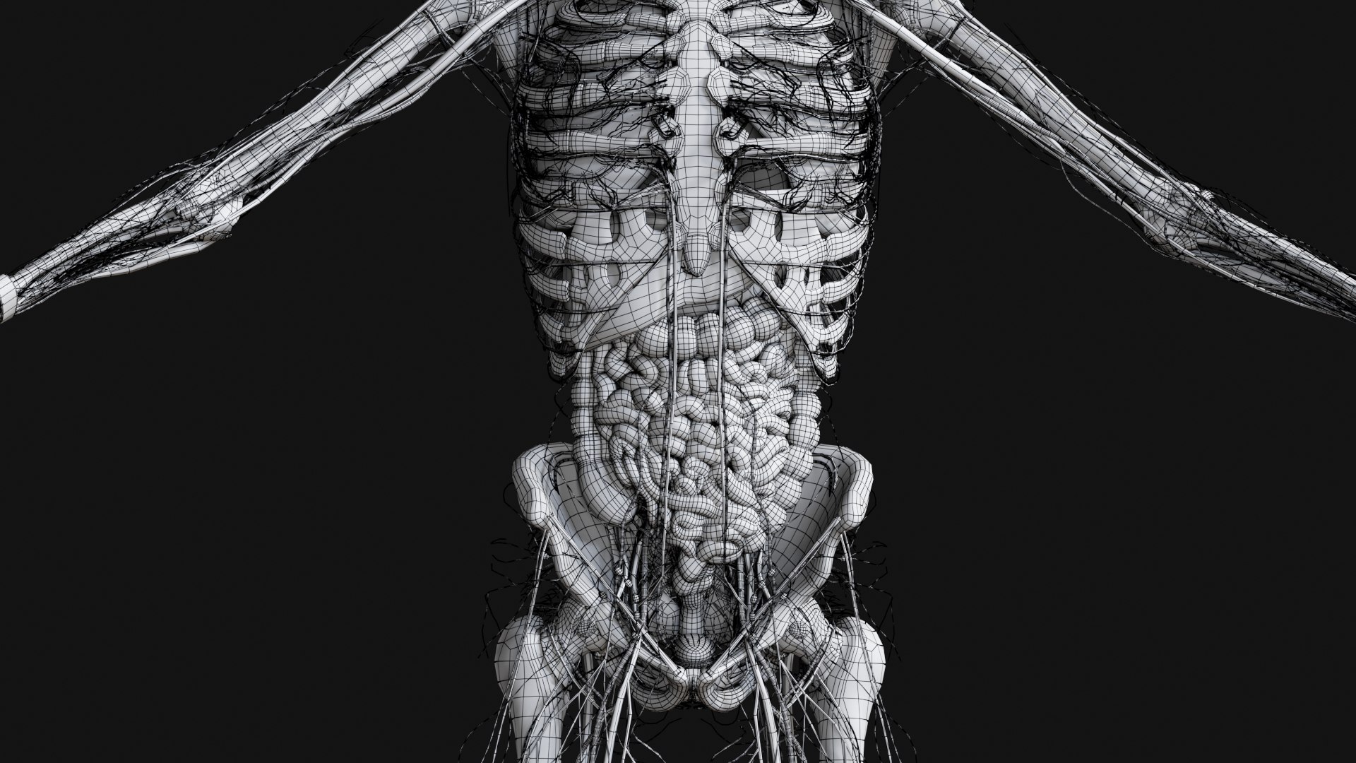 3D Female and Male Complete Anatomy https://p.turbosquid.com/ts-thumb/Cm/Lxbojr/8b/w310/jpg/1625140033/1920x1080/fit_q87/5d9a518013be49d59f9f577c976047d1150bc789/w310.jpg