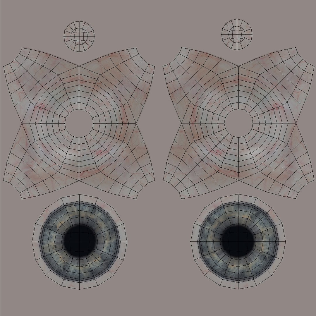 3D Female and Male Complete Anatomy https://p.turbosquid.com/ts-thumb/Cm/Lxbojr/Hz/uvw_5/jpg/1625140545/1920x1080/fit_q87/1cf29758c5071b304419a68ccb3b74b8b041987a/uvw_5.jpg
