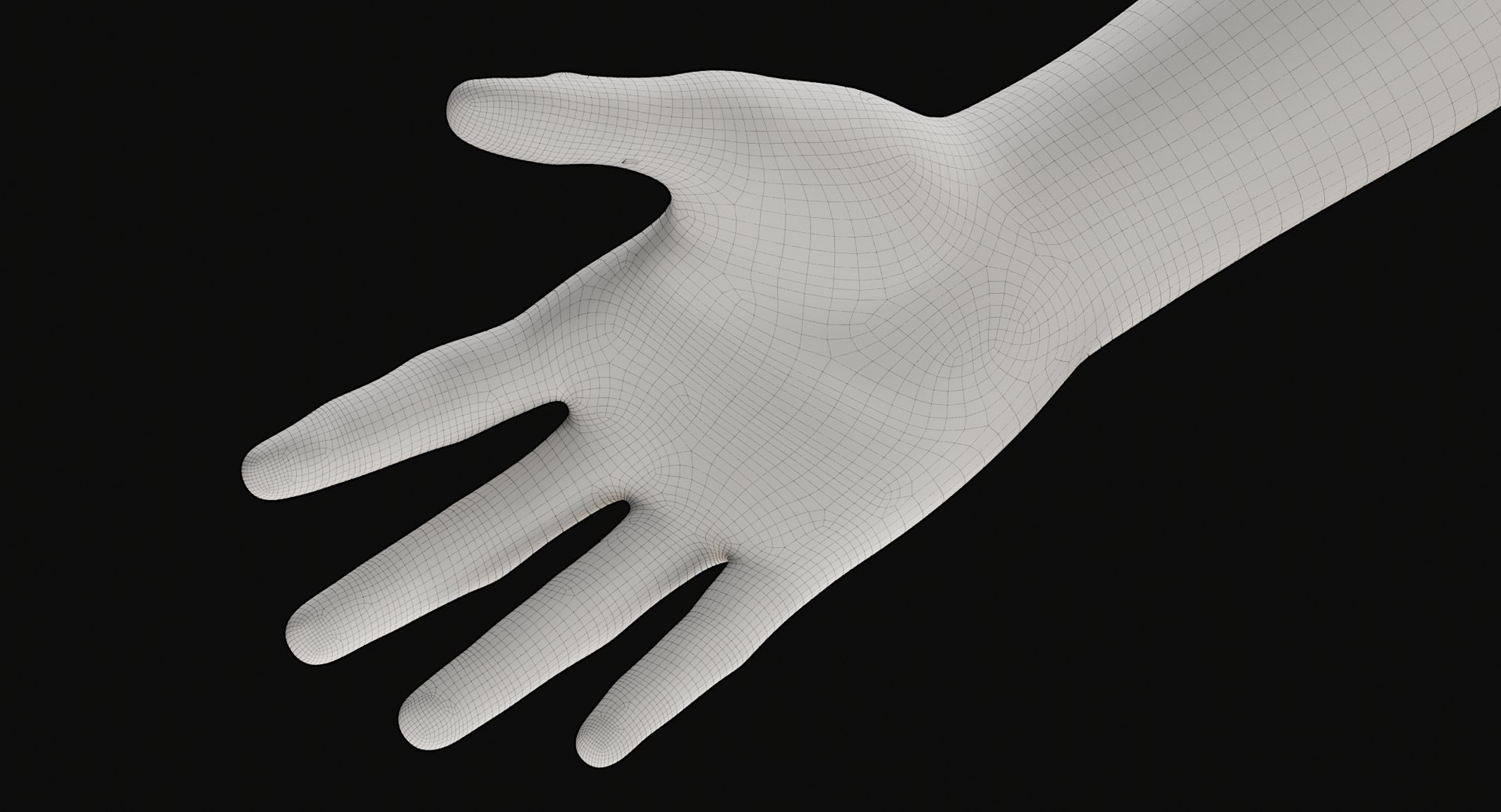 3D Female and Male Complete Anatomy https://p.turbosquid.com/ts-thumb/Cm/Lxbojr/Q2/wire37/jpg/1625139961/1920x1080/fit_q87/30f1b74b017ab165092ab127e7c213917f63c925/wire37.jpg