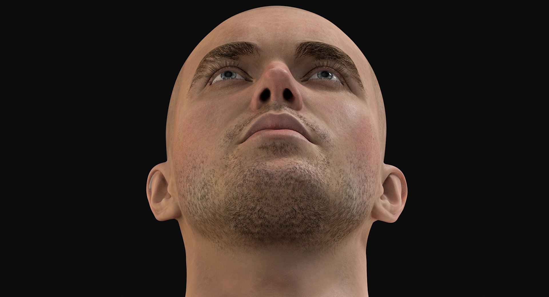 3D Female and Male Complete Anatomy https://p.turbosquid.com/ts-thumb/Cm/Lxbojr/e1/male_complete_anatomy16/jpg/1625126952/1920x1080/fit_q87/ccf5e8d70fad0057f753f42d11b7a1138063c79d/male_complete_anatomy16.jpg