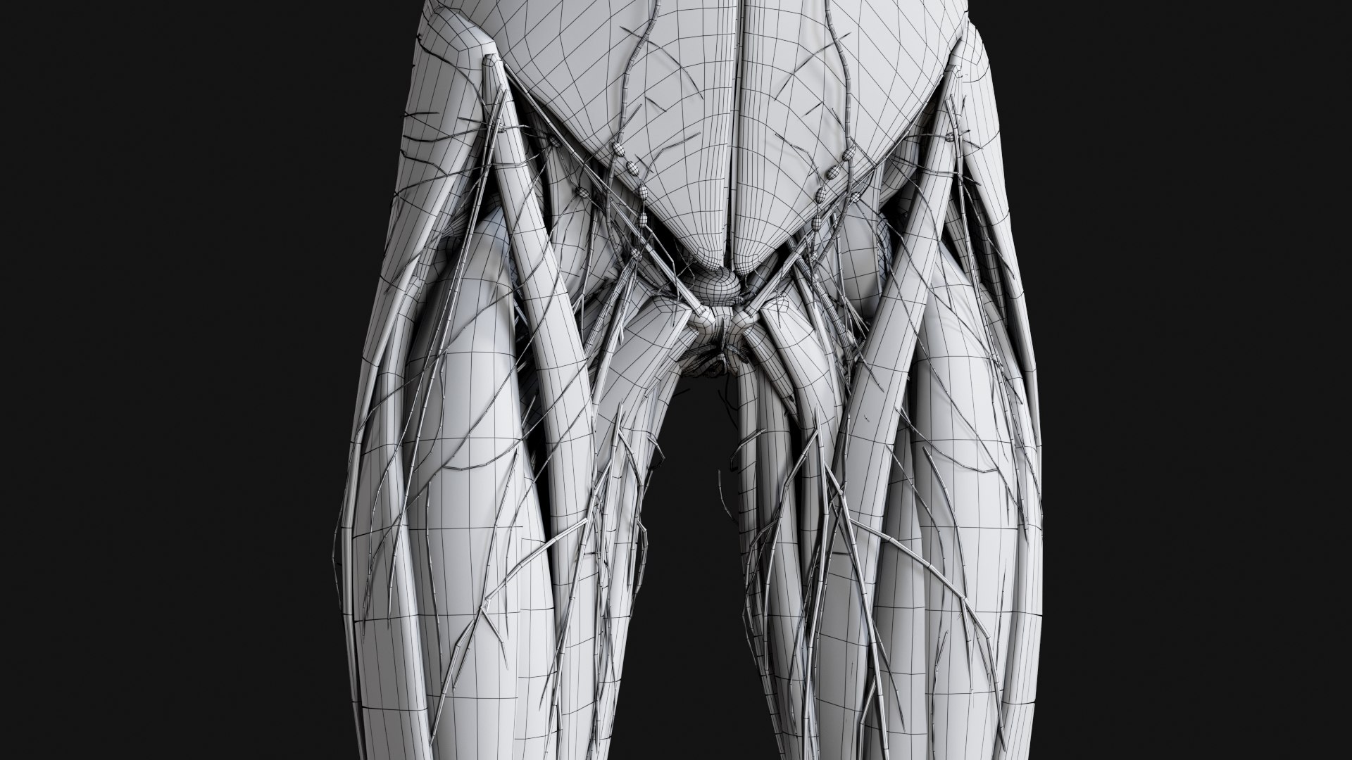 3D Female and Male Complete Anatomy https://p.turbosquid.com/ts-thumb/Cm/Lxbojr/fi/w22/jpg/1625140017/1920x1080/fit_q87/076e45cb33d8bbed75ecac124c61e39e80a26f0f/w22.jpg
